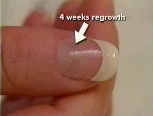 4-Week Maintenance Tutorial by Backscratchers