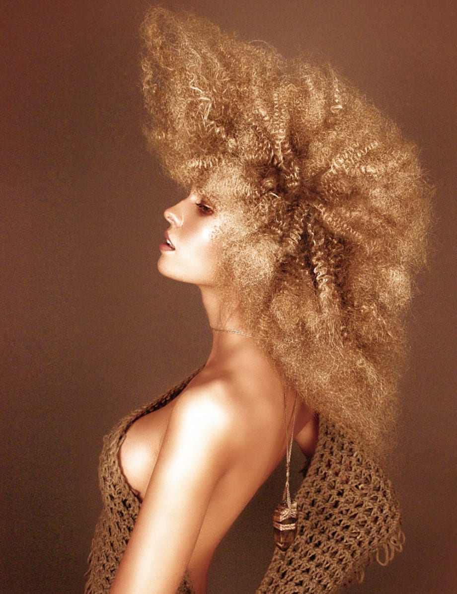 Wella Professionals' 2012 Trend Vision Finalists Announced!