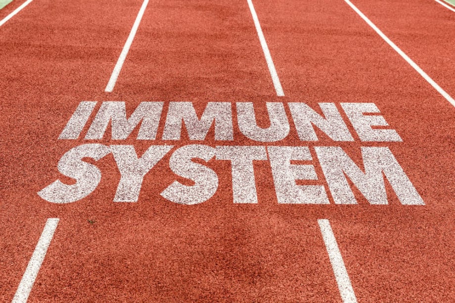 Boost Your Immune System