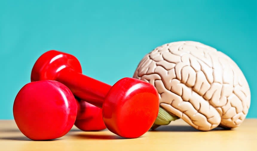 Exercise Your Brain