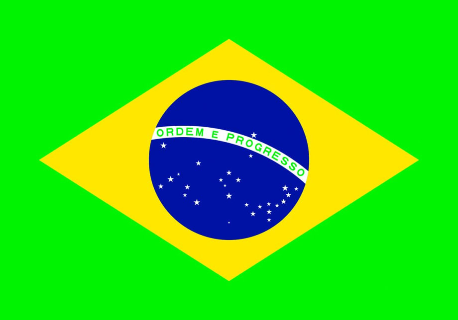 Brazil's Fleet Market Conditions in 2014