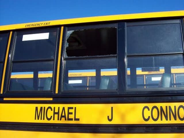 Turkey flies into school bus window