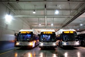 Champaign-Urbana's MTD names new COO