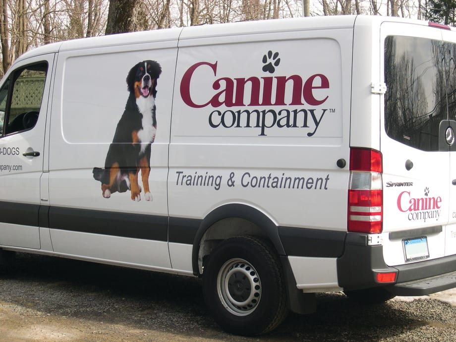 Vinyl Decals: Rebranding Fleet Vehicles For Less