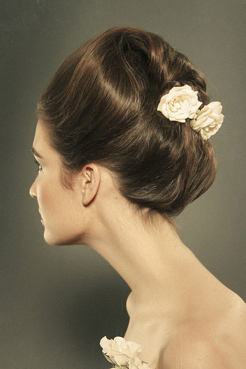 Carmen Cutrona's Collection