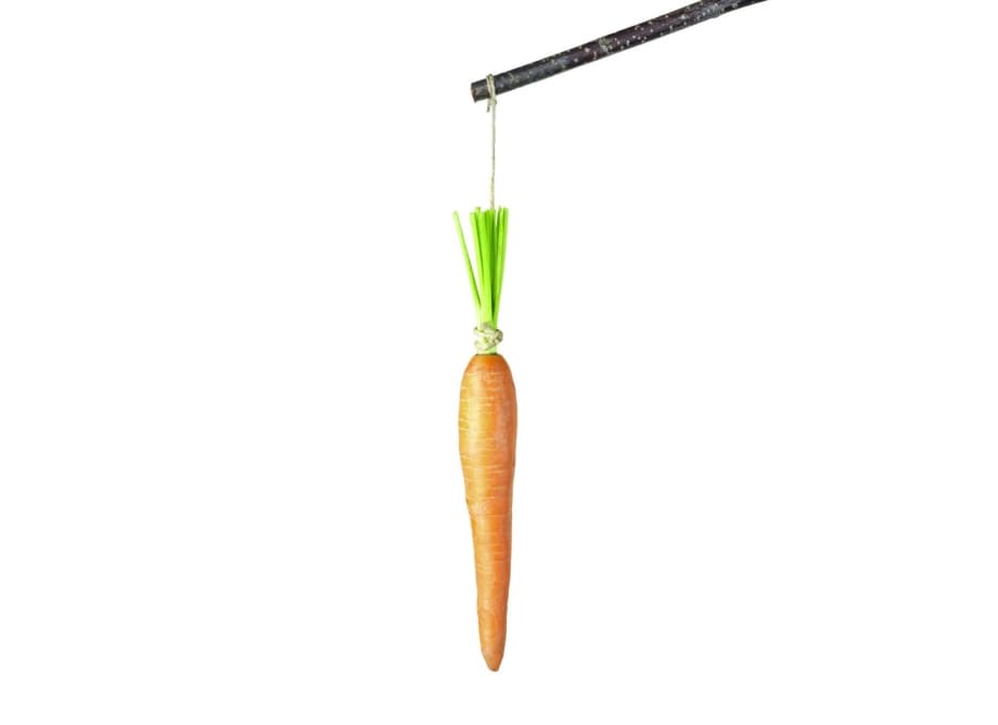 What Really Motivates Your Employees?