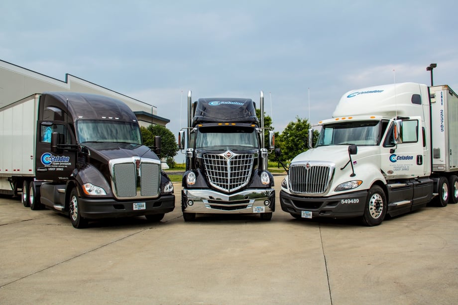 In Financial Pickle, Celadon Shuffles Management, Ups Liquidity