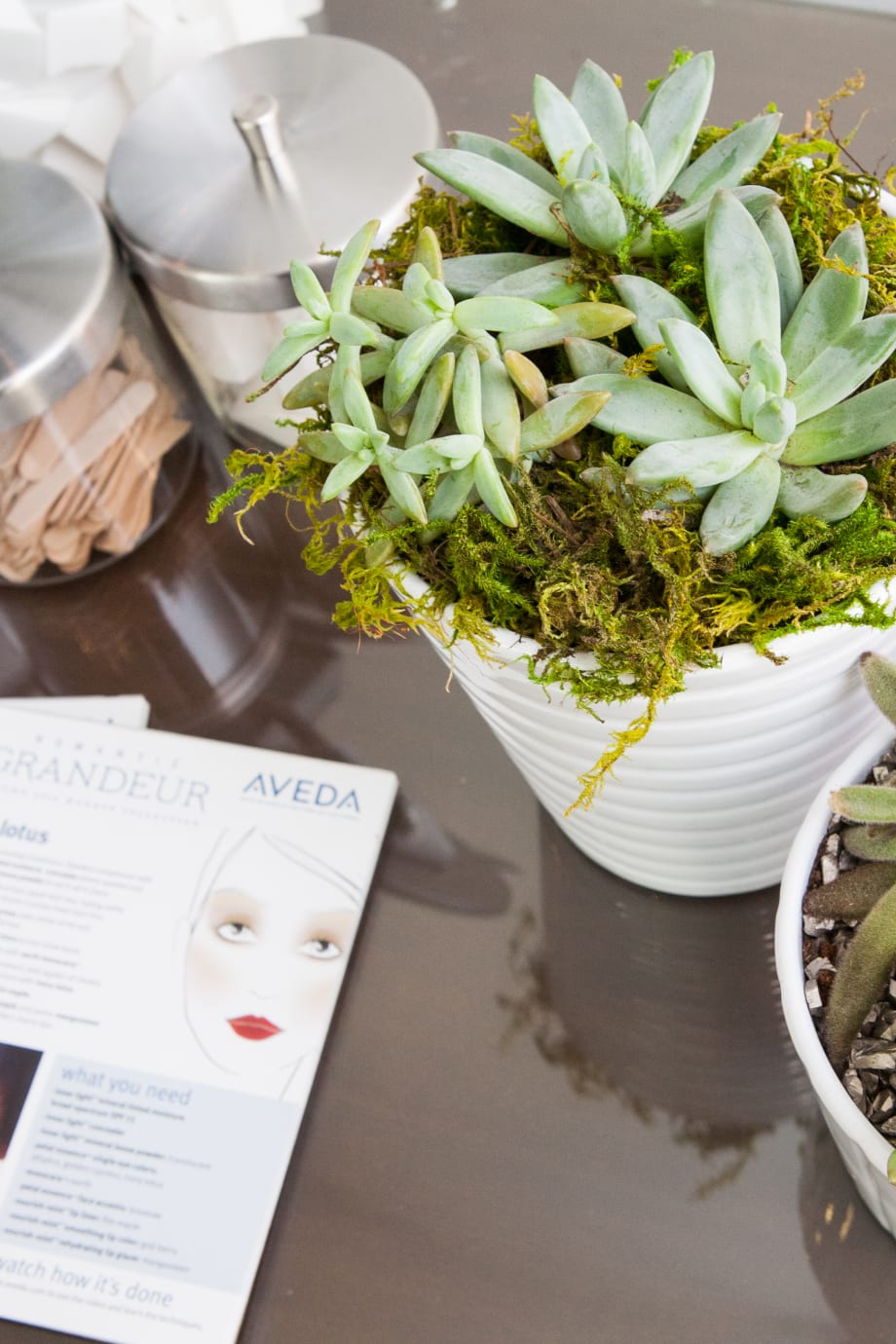 Architects of Design: Civello Salons