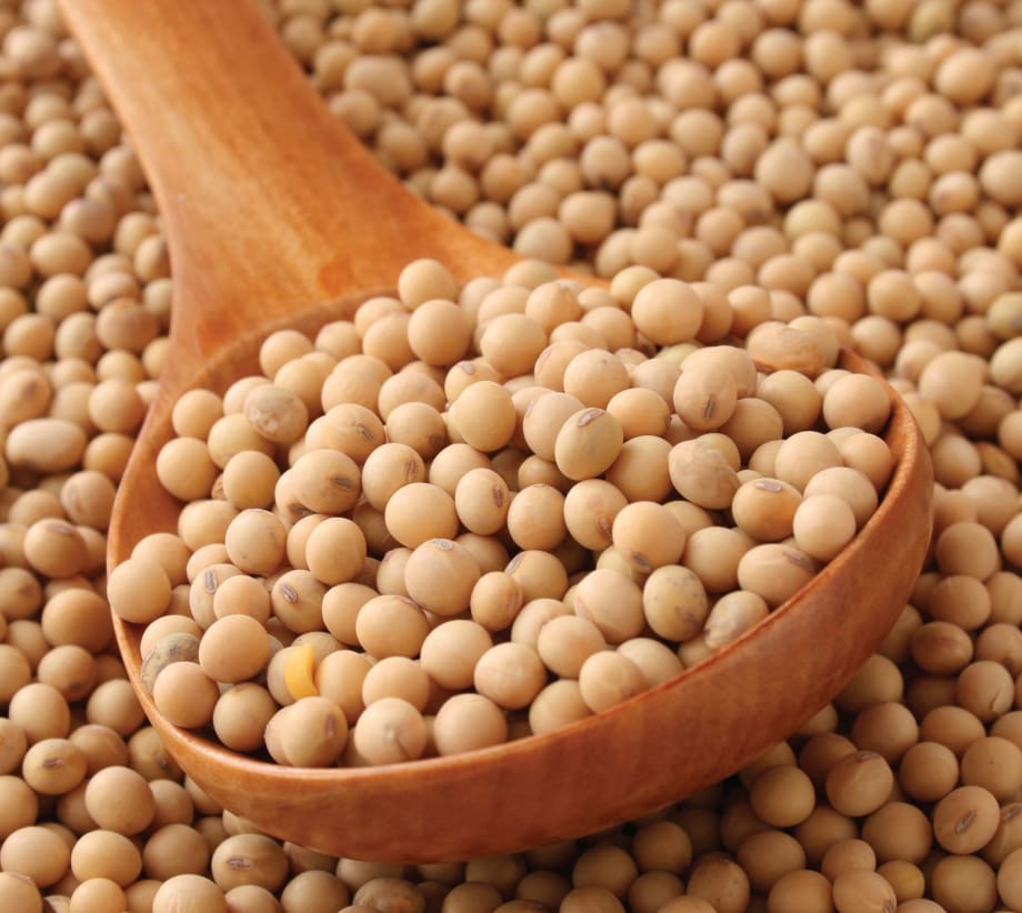 Secret Ingredient: Soy
