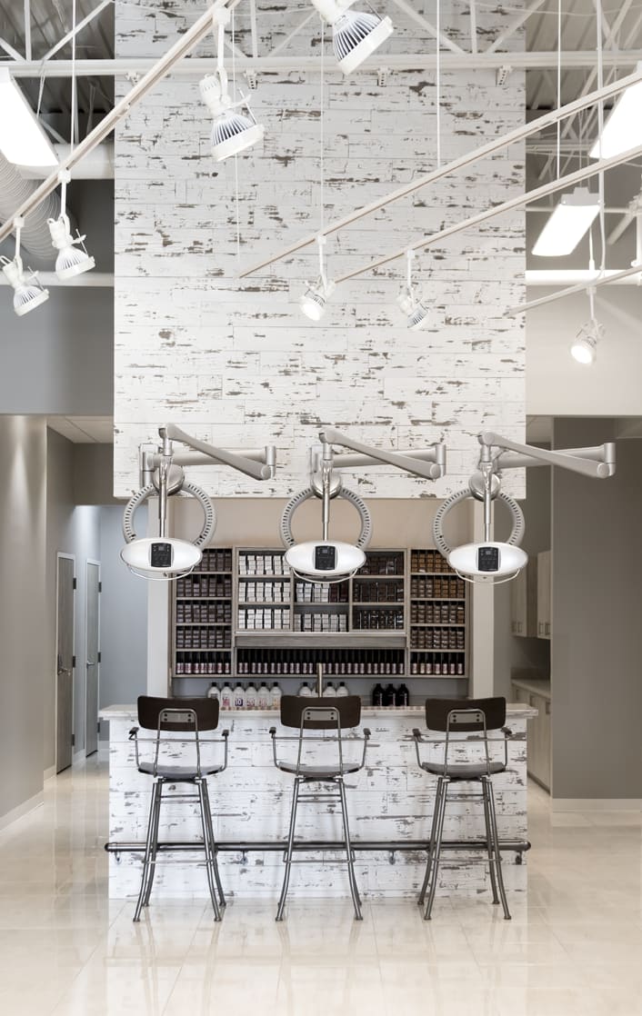 Salons of the Year 2017: One Society