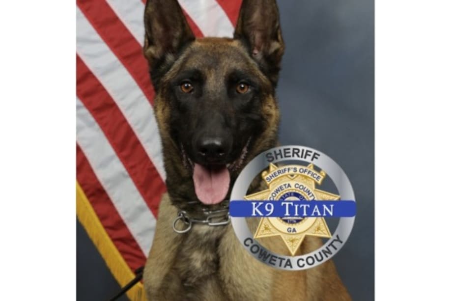 Georgia K-9 Killed in Shootout, Suspect Fatally Shot by Handler