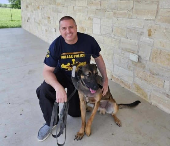 Dallas Chief: K9 “Took a Bullet” Protecting Officer Partner