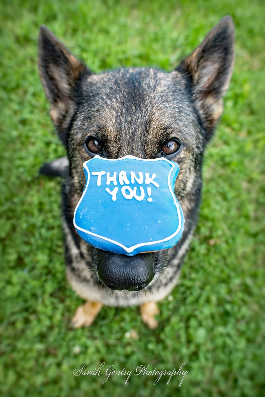 From the Fleets: What Does Success Look Like?