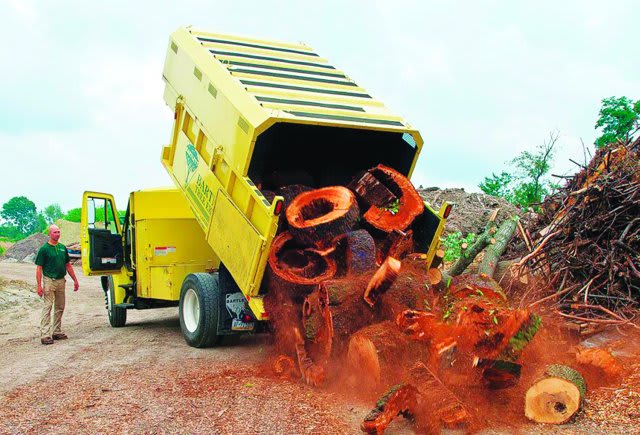 'Tree Doctors' Rely on DuraStar Trucks