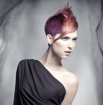 2011 NAHA Finalists - Hairstylist of the Year