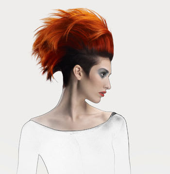 2011 NAHA Finalists - Haircolor