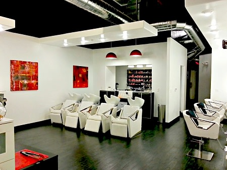 David Frank Salon by David Todd