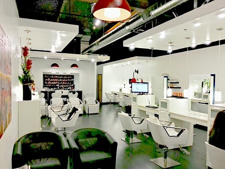David Frank Salon by David Todd