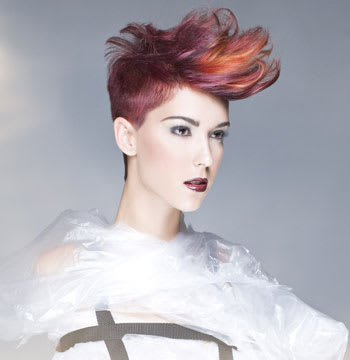 2011 NAHA Finalists - Haircolor