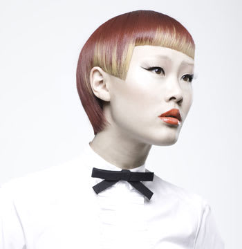 2011 NAHA Finalists - Haircolor