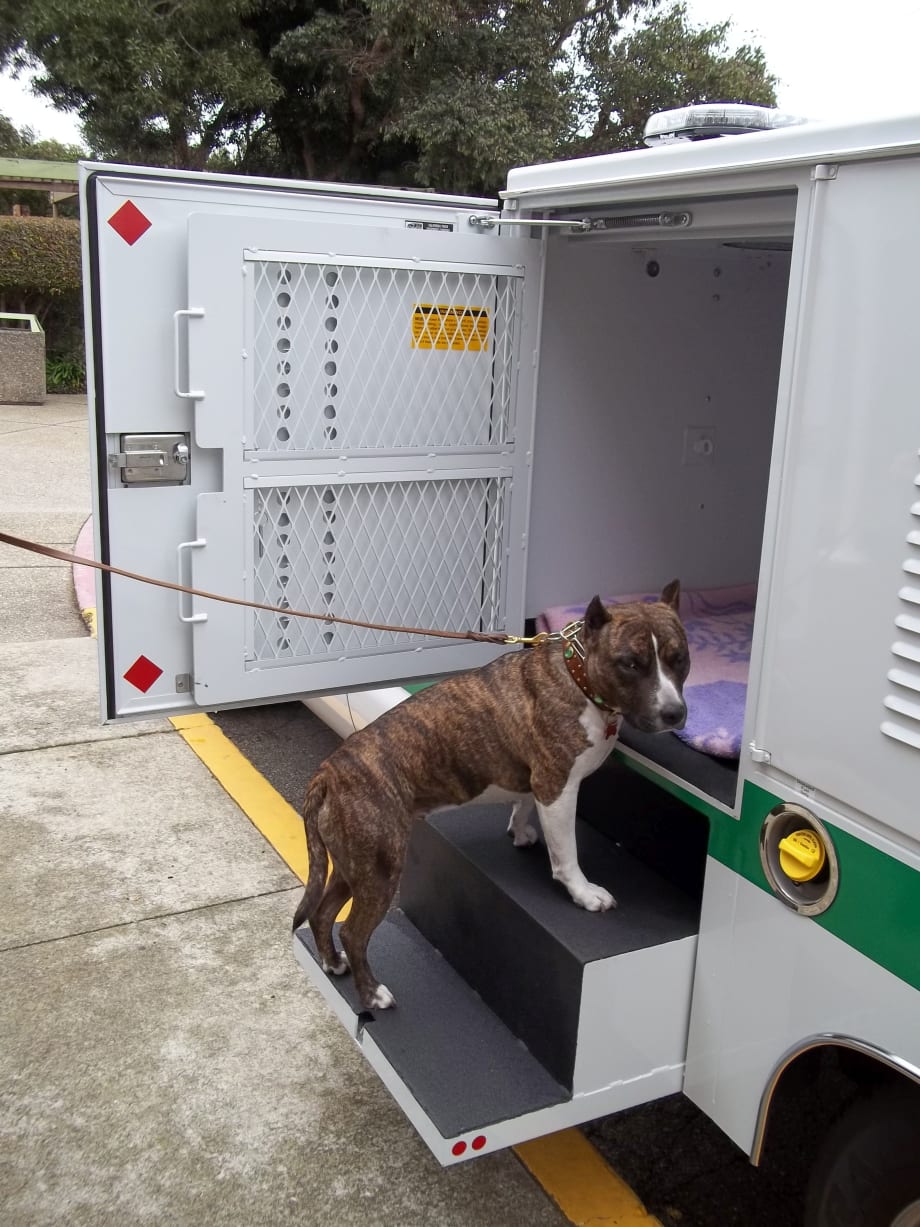 Animal Rescue Fleet Switches Back to Trucks from Vans
