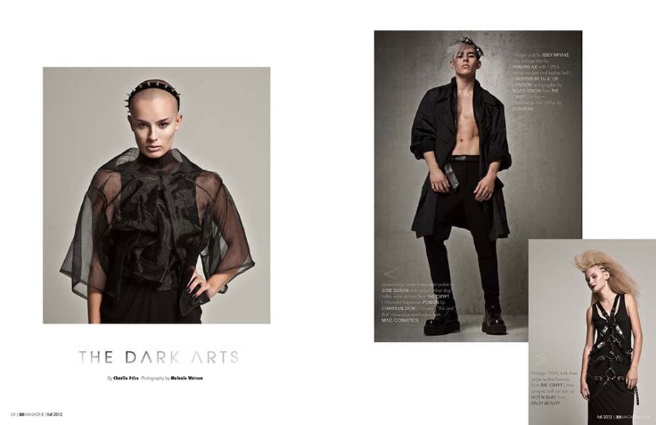 MEET THE NAHA FINALIST: Charlie Price/Editorial
