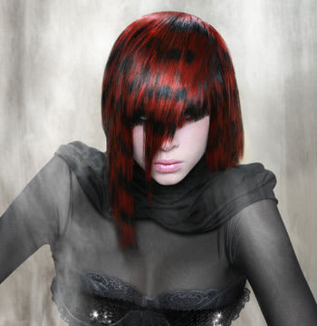2011 NAHA Finalists - Master Hairstylist