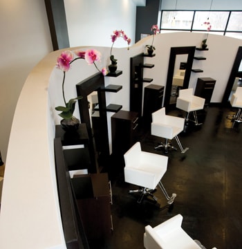 Salon of Distinction: Elements Salon