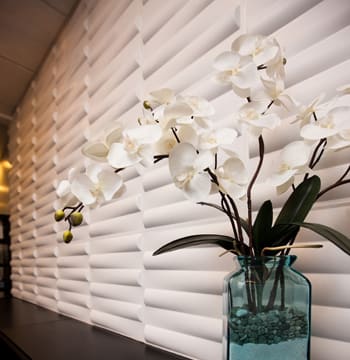 Salon of Distinction: Elements Salon