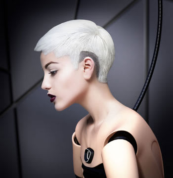 2011 NAHA Finalists - Hairstylist of the Year