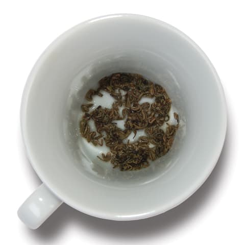 Reading the Tea Leaves