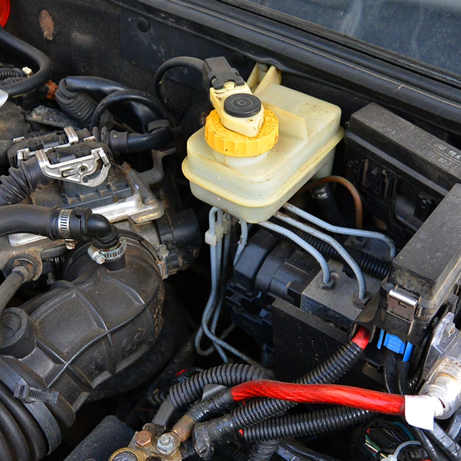 Fidelis Adds Fluids Check Service