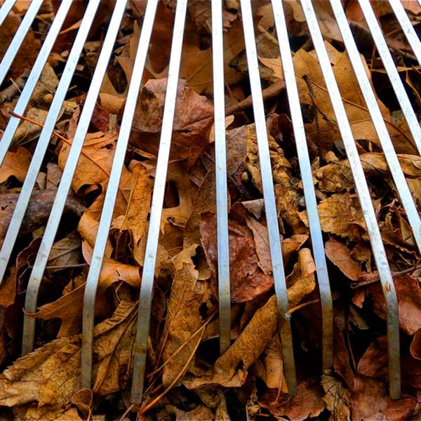 Fall Ahead: Dealer Sites Enjoy Autumn Upswing