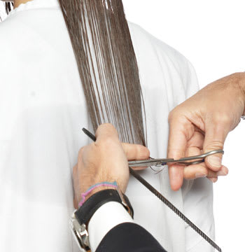 Brilliant Brunette, Cut How-To