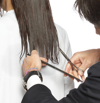 Brilliant Brunette, Cut How-To