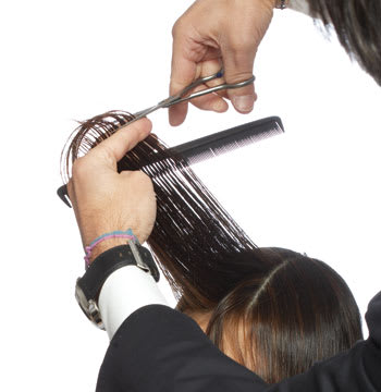 Brilliant Brunette, Cut How-To