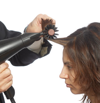 Brilliant Brunette, Cut How-To