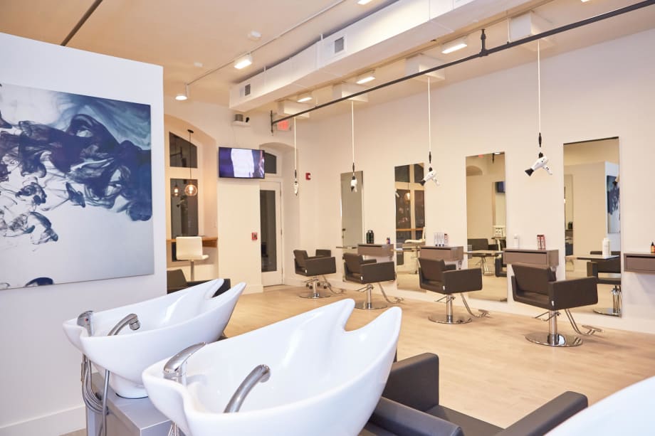 SOTY 2015: Salon Gatto