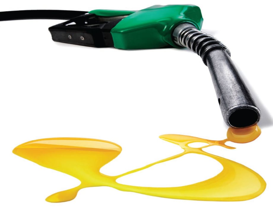 Fueling Public Sector Fleets