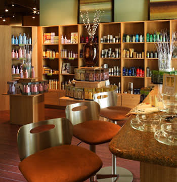 Salon of Distinction: Fusion