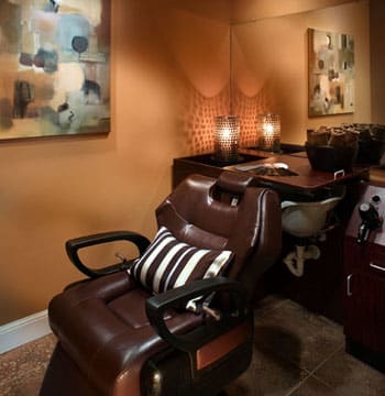 Salon of Distinction: Fusion