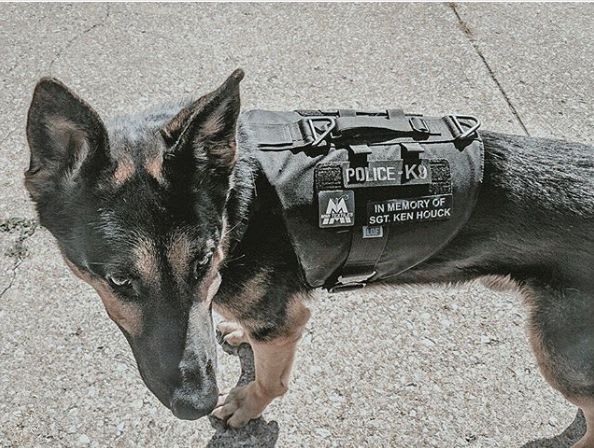 Cleveland RTA K-9 receives bullet-proof vest via boy's fundraiser