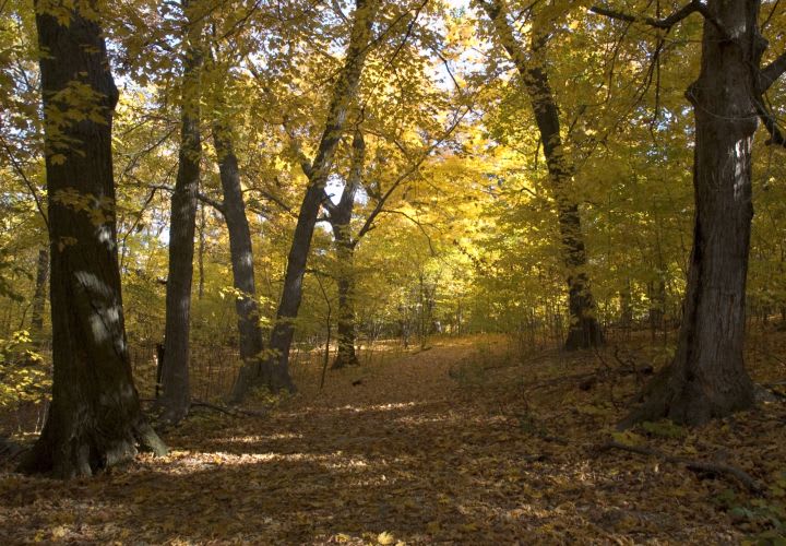 Ill. Conservation District's Green Fleet Honored