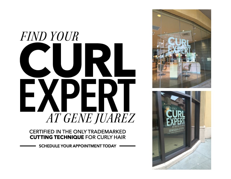 Honing a Curly Hair Expertise