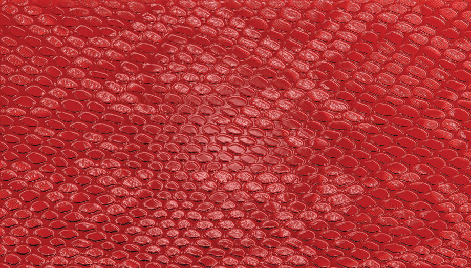 Trend Watch: Snakeskin