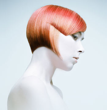 2011 NAHA Finalists - Student Hairstylist