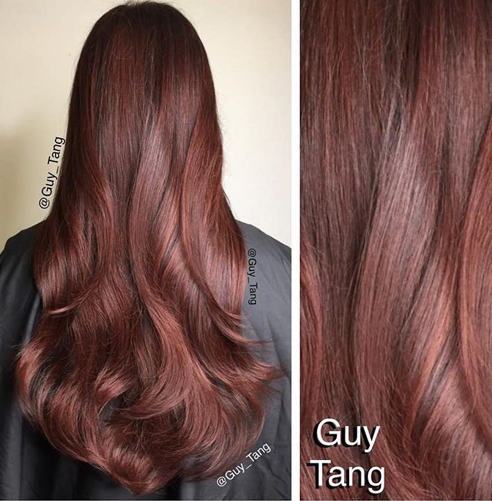 21 Hair Color Transformations by Guy Tang
