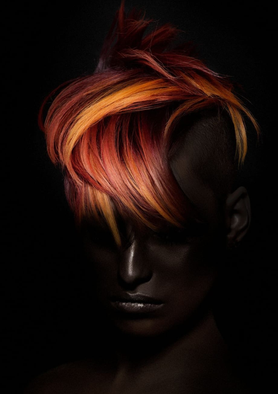 2017 NAHA FINALISTS: Hair Color