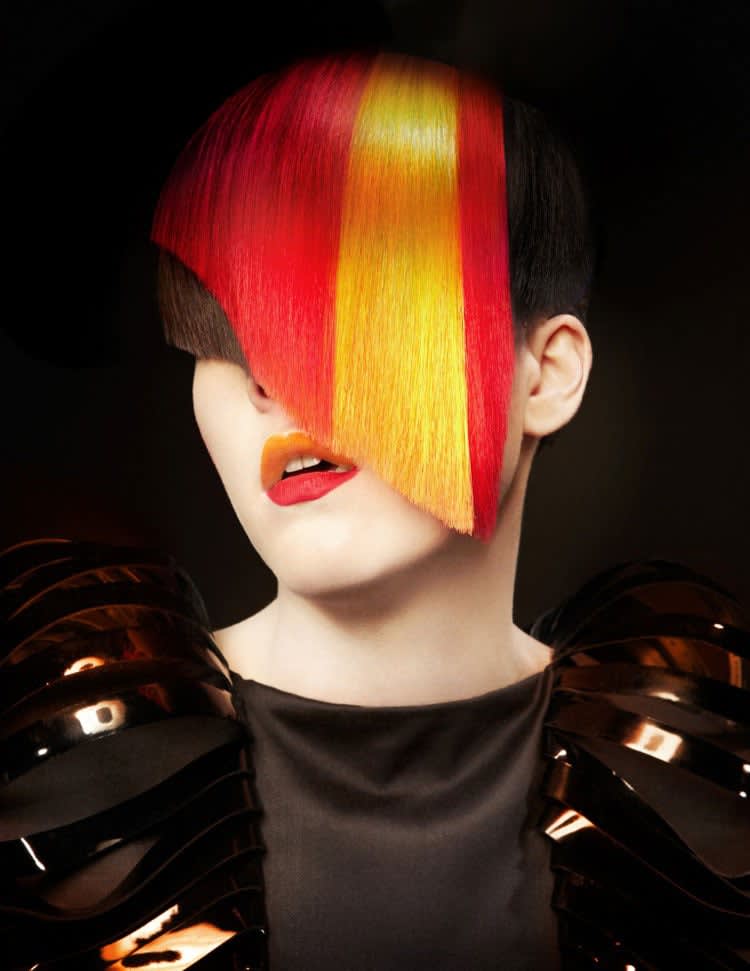 NAHA 2012 Finalists: Haircolor
