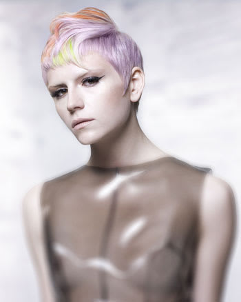 NAHA 2010 "Haircolor" Finalists